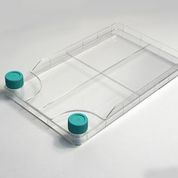 Nest BioFactory 1 Chamber with wide mouth Nest BioFactory 1 Chamber with wide mouth