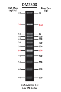 ExcelBand 100bp + 3K DNA Ladder, 500ul ExcelBand 100bp + 3K DNA Ladder, 500ul