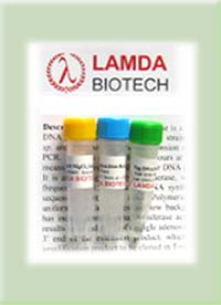 Taq Plus DNA Polymerase 500U Taq Plus DNA Polymerase 500U