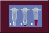 SuperRed Taq 200U SuperRed Taq 200U