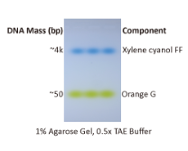 ExcelDye 6× DNA Loading Dye, Green, 2ml x 2 ExcelDye 6× DNA Loading Dye, Green, 2ml x 2