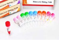 PCR Dye Master Mix II (5X) 400 rxns PCR Dye Master Mix II (5X) 400 rxns
