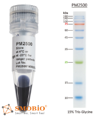 ExcelBAND 3-color pre-stained Protein Marker ExcelBAND 3-color pre-stained Protein Marker