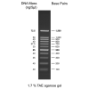 100 bp  DNA Ladder RTU, 500ul